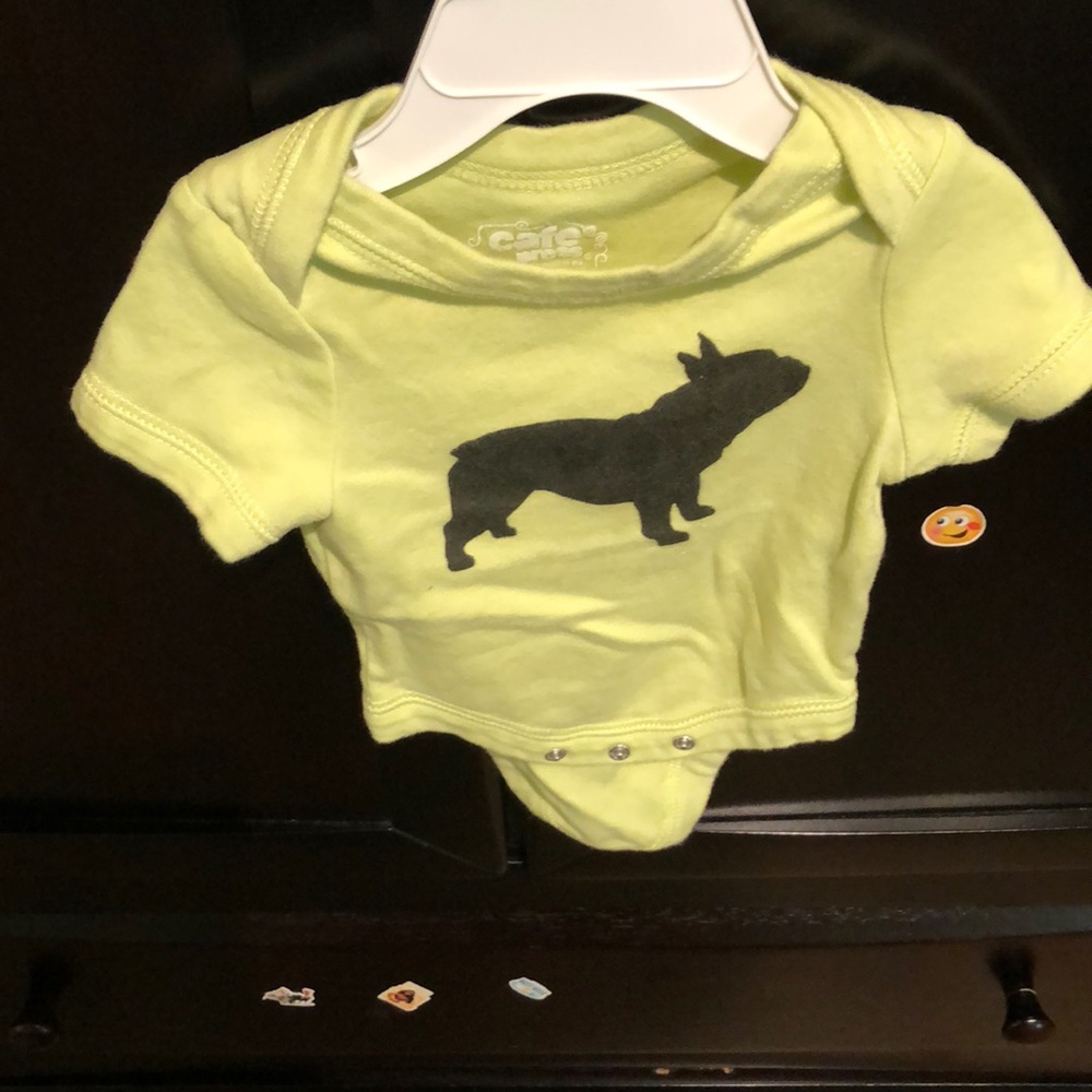 French bulldog body